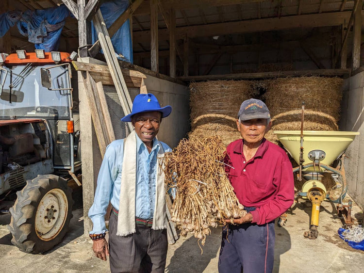 モーレツ月桃ガーリックオイル グリーン 170g